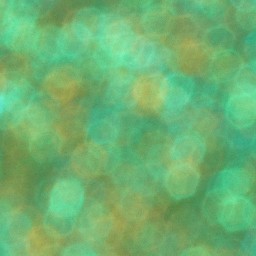 Bokeh-495